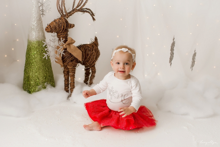 lake county cake smash