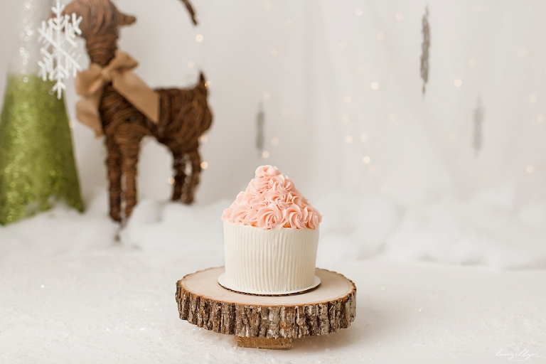 chicago milestone photographer