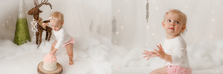 lake county one year photography