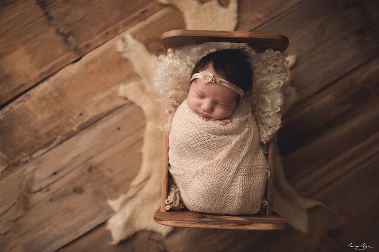 Arlington Heights photographer