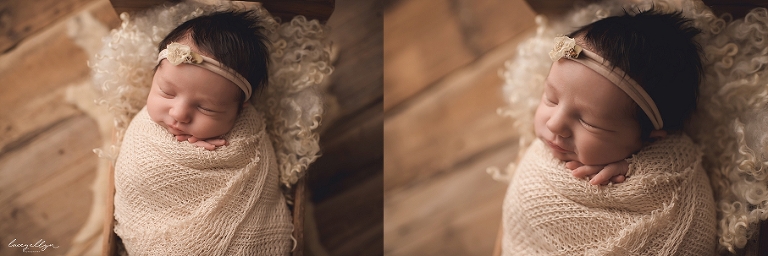 Arlington Heights photographer