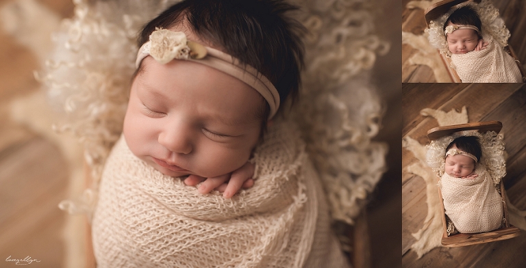 Arlington Heights photographer