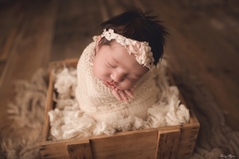 arlington heights newborn photographer