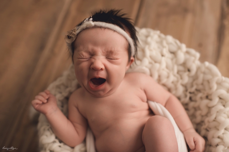 arlington heights newborn photographer