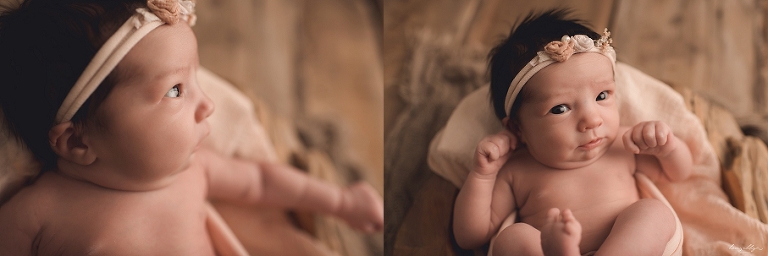 arlington heights newborn photographer