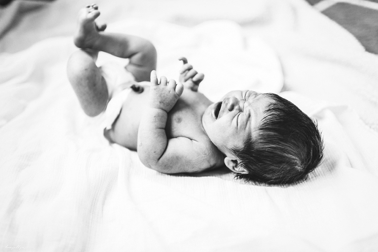 lifestyle photographers