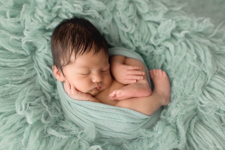 chicago newborn photographer