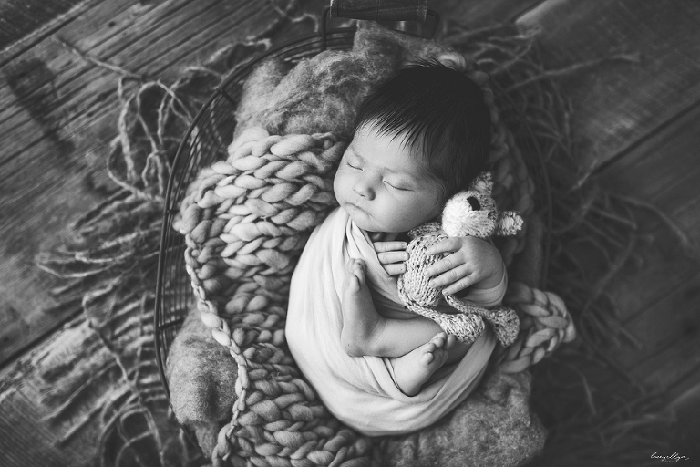 chicagoland photographer