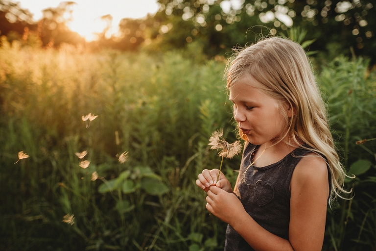 dandelion wishes