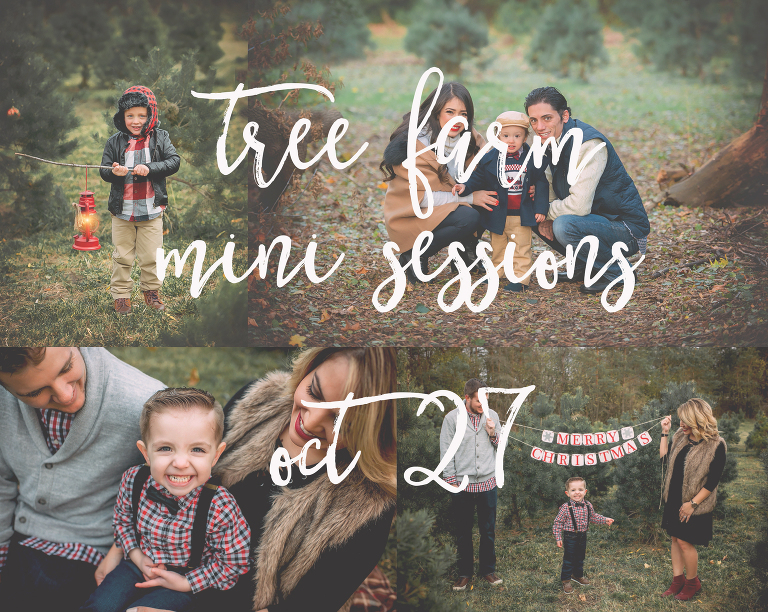 tree farm mini sessions mchenry, il