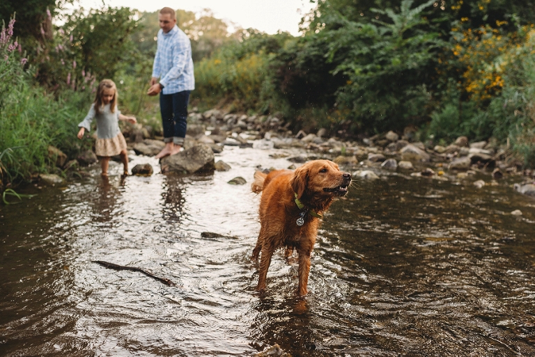 family dog