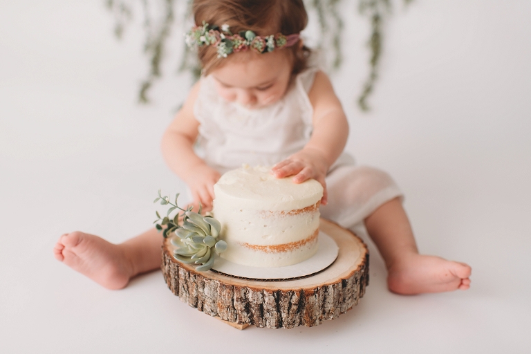 chicagoland photographer