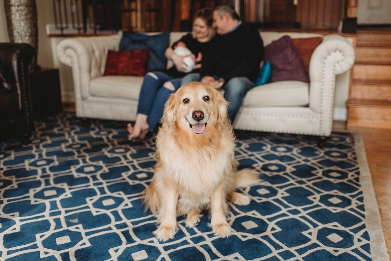 Lake County, IL Lifestyle Photographer