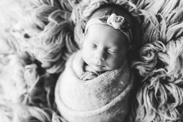 Newborn Photographers Illinois