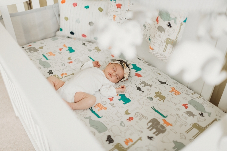 lake county, IL lifestyle newborn photographers