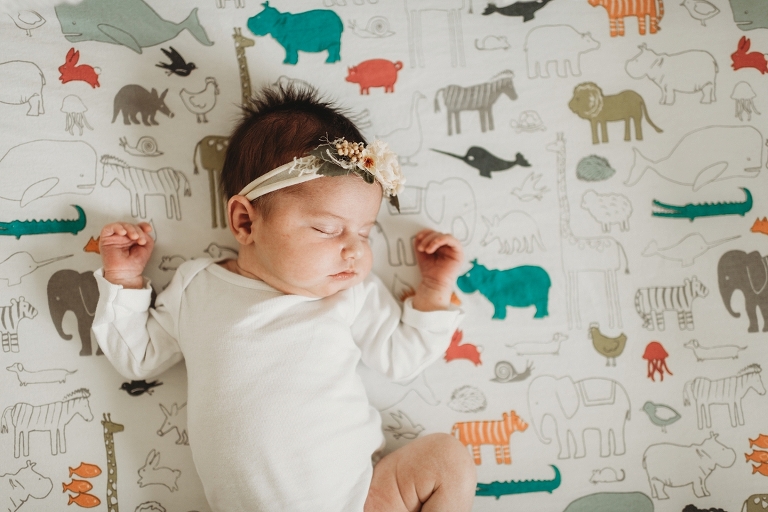 lake county, IL lifestyle newborn photographers